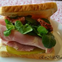 Sandwich especial de carne mechada a las hierbas